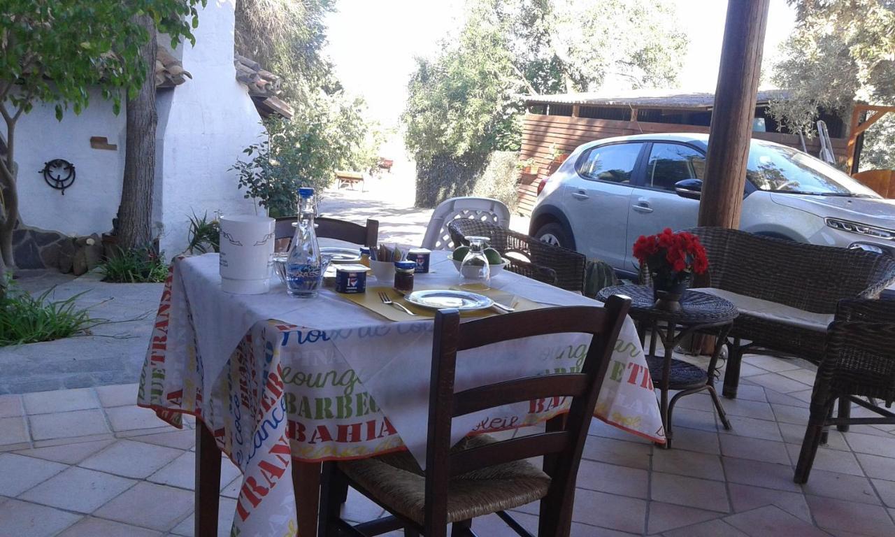 B&B Il Girasole SantʼAnna Arresi Exterior foto